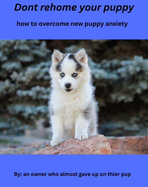 New puppy owner anxiety